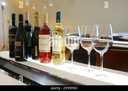 Weinverkostungssaal, Weingut Olarra, Rioja, Logroño, Spanien. Stockfoto