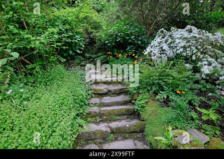 hartland Abbey, ummauerter Garten, Nord-devon, england Stockfoto