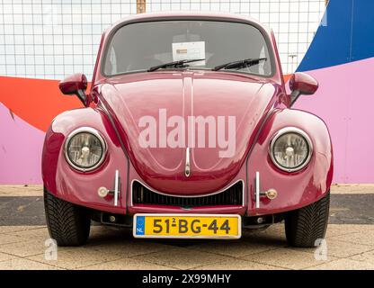 Scheveningen, Niederlande, 26.05.2024, Vorderansicht des klassischen Volkswagen Käfers in violetter Farbe auf der Aircooler Oldtimer-Ausstellung Stockfoto