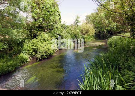 Blick auf den Fluss Darenth, Eynsford, Kent Stockfoto