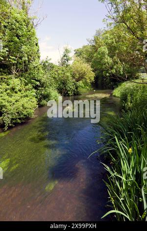 Blick auf den Fluss Darent, Eynsford, Kent Stockfoto