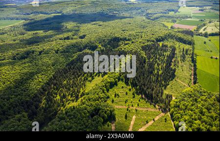 Luftbild, NSG Naturschutzgebiet Hinnenburger Forst mit Emder Bachtal, am Mühlenbach, Mischwaldgebiet, Nieheim, Ostwestfalen, Nordrhein-Westfalen, Deutschland ACHTUNGxMINDESTHONORARx60xEURO *** Luftbild, Naturpark Hinnenburger Forst mit Emder Bachtal, am Mühlenbach, Mischwaldgebiet, Nieheim, Ostwestfalen, Nordrhein-Westfalen, Deutschland ATTENTIONxMINDESTHONORARx60xEURO Stockfoto