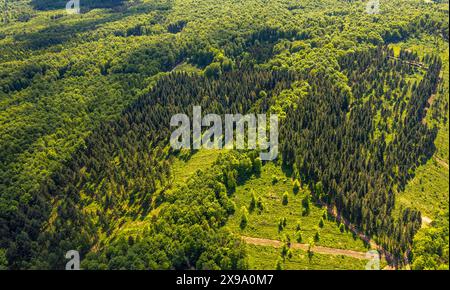 Luftbild, NSG Naturschutzgebiet Hinnenburger Forst mit Emder Bachtal, am Mühlenbach, Mischwaldgebiet, Nieheim, Ostwestfalen, Nordrhein-Westfalen, Deutschland ACHTUNGxMINDESTHONORARx60xEURO *** Luftbild, Naturpark Hinnenburger Forst mit Emder Bachtal, am Mühlenbach, Mischwaldgebiet, Nieheim, Ostwestfalen, Nordrhein-Westfalen, Deutschland ATTENTIONxMINDESTHONORARx60xEURO Stockfoto