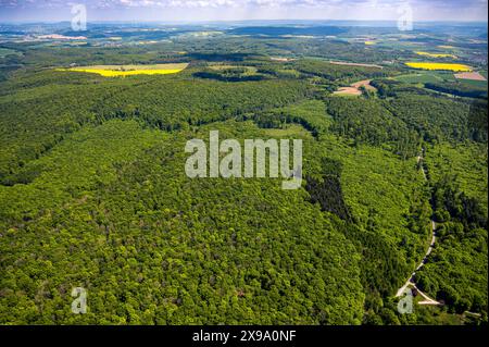 Luftbild, NSG Naturschutzgebiet Hinnenburger Forst mit Emder Bachtal, herzförmige Lichtung, Alhausen, Bad Driburg, Ostwestfalen, Nordrhein-Westfalen, Deutschland ACHTUNGxMINDESTHONORARx60xEURO *** Luftbild, Naturpark Hinnenburger Forst mit Emder Bachtal, herzförmige Rodung, Alhausen, Bad Driburg, Ostwestfalen, Nordrhein-Westfalen, Deutschland ATTENTIONxMINDESTHONORARx60xEURO Stockfoto