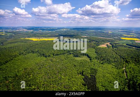 Luftbild, NSG Naturschutzgebiet Hinnenburger Forst mit Emder Bachtal, herzförmige Lichtung, Alhausen, Bad Driburg, Ostwestfalen, Nordrhein-Westfalen, Deutschland ACHTUNGxMINDESTHONORARx60xEURO *** Luftbild, Naturpark Hinnenburger Forst mit Emder Bachtal, herzförmige Rodung, Alhausen, Bad Driburg, Ostwestfalen, Nordrhein-Westfalen, Deutschland ATTENTIONxMINDESTHONORARx60xEURO Stockfoto