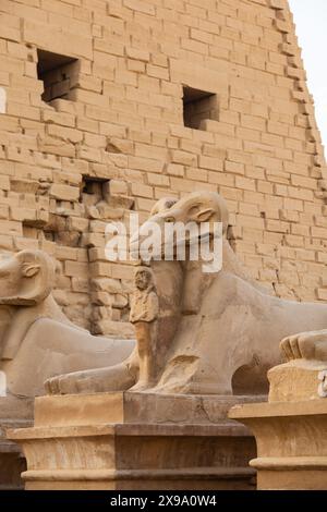 Avenue of Rams, Karnak Tempel, Luxor, Ägypten Stockfoto