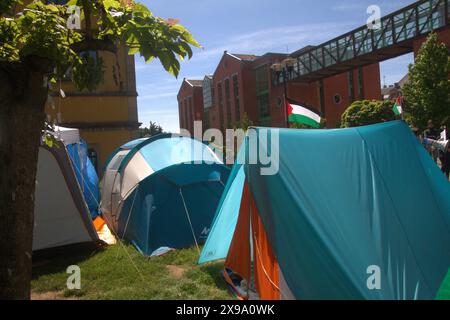 Asturien, Spanien. Mai 2024. Ein Ultra bedroht die Studenten, die an der Universität von Oviedo für Palästina campten, die Studenten, die sich aufgrund der jüngsten Ereignisse in Rafah in Konzentration befinden. (Kreditbild: © Mercedes Menendez/Pacific Press via ZUMA Press Wire) NUR REDAKTIONELLE VERWENDUNG! Nicht für kommerzielle ZWECKE! Stockfoto