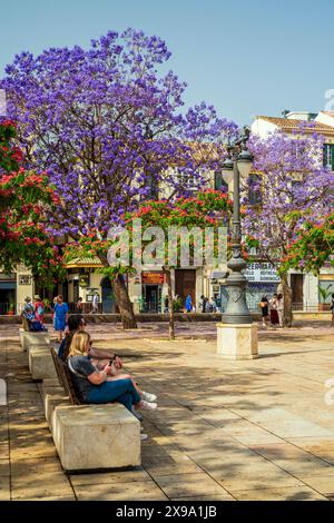 Plaza de la Merced, Malaga, Andalusien, Spanien Stockfoto