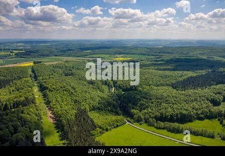 Luftbild, NSG Naturschutzgebiet Hinnenburger Forst mit Emder Bachtal, Waldgebiet mit Wiesen und Felder, Fernsicht mit blauem Himmel und Wolken, Nieheim, Ostwestfalen, Nordrhein-Westfalen, Deutschland ACHTUNGxMINDESTHONORARx60xEURO *** Luftsicht, Naturpark Hinnenburger Forst mit Emder Bachtal, Waldgebiet mit Wiesen und Feldern, Fernsicht mit blauem Himmel und Wolken, Nieheim, Ostwestfalen Nordrhein-Westfalen, Deutschland ACHTUNGxMINDESTHONORARx60xEURO Stockfoto