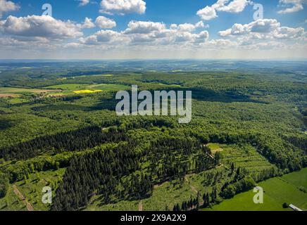 Luftbild, NSG Naturschutzgebiet Hinnenburger Forst mit Emder Bachtal, Waldgebiet mit Wiesen und Felder, Fernsicht mit blauem Himmel und Wolken, Pömbsen, Bad Driburg, Ostwestfalen, Nordrhein-Westfalen, Deutschland ACHTUNGxMINDESTHONORARx60xEURO *** Luftsicht, Naturschutzgebiet Hinnenburger Forst mit Emder Bachtal, Waldgebiet mit Wiesen und Feldern, Fernsicht mit blauem Himmel und Wolken, Pömbsen, Bad Driburg, Ostwestfalen, Nordrhein-Westfalen, Deutschland ACHTUNGxMINDESTHONORARx60xEURO Stockfoto