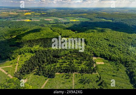 Luftbild, NSG Naturschutzgebiet Hinnenburger Forst mit Emder Bachtal, Waldgebiet mit Wiesen und Felder, Fernsicht mit blauem Himmel und Wolken, Pömbsen, Bad Driburg, Ostwestfalen, Nordrhein-Westfalen, Deutschland ACHTUNGxMINDESTHONORARx60xEURO *** Luftsicht, Naturschutzgebiet Hinnenburger Forst mit Emder Bachtal, Waldgebiet mit Wiesen und Feldern, Fernsicht mit blauem Himmel und Wolken, Pömbsen, Bad Driburg, Ostwestfalen, Nordrhein-Westfalen, Deutschland ACHTUNGxMINDESTHONORARx60xEURO Stockfoto