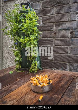 Aschenbecher voll mit Gurken auf dem nassen Tisch nach Regen Stockfoto