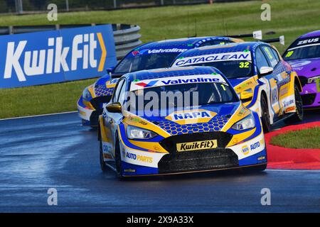 Ash Sutton, Ford Focus ST, NAPA Racing UK, BTCC, British Touring Car Championship, Runden sieben, acht und neun der Saison 2024, Snetterton, Norwic Stockfoto