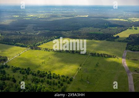 Luftbild, Senne Heidelandschaft, Holzweg Wald und Wiesen mit Baumallee, Fernsicht, Heimathof, Augustdorf, Ostwestfalen, Nordrhein-Westfalen, Deutschland ACHTUNGxMINDESTHONORARx60xEURO *** Luftaufnahme, Senne Heidelandschaft, Holzweg Wald und Wiesen mit Baumallee, Fernsicht, Heimathof, Augustdorf, Ostwestfalen, Nordrhein-Westfalen, Deutschland ACHTUNGxMINDESTHONORARx60xEURO Stockfoto