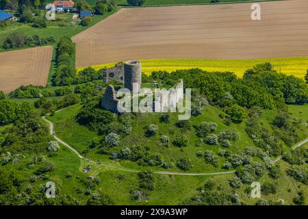 Luftbild, Burg Desenberg auf einem Vulkankegel, historische Sehenswürdigkeit, Ruine einer Höhenburg in der Warburger Börde, Daseburg, Warburg, Ostwestfalen, Nordrhein-Westfalen, Deutschland ACHTUNGxMINDESTHONORARx60xEURO *** aus der Vogelperspektive, Schloss Desenberg auf einem Vulkankegel, historische Sehenswürdigkeit, Ruine einer Hügelburg in der Warburger Börde, Daseburg, Warburg, Ostwestfalen, Nordrhein-Westfalen, Deutschland ACHTUNGxMINDESTHONORARx60xEURO Stockfoto