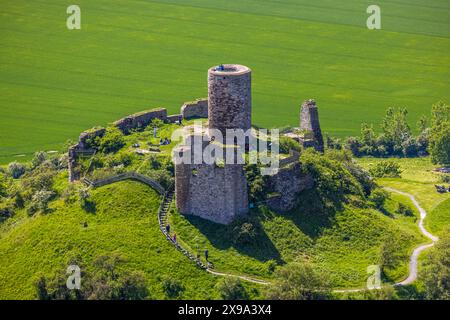 Luftbild, Burg Desenberg auf einem Vulkankegel, historische Sehenswürdigkeit, Ruine einer Höhenburg in der Warburger Börde, Besucher auf der Aussichtsplattform, Daseburg, Warburg, Ostwestfalen, Nordrhein-Westfalen, Deutschland ACHTUNGxMINDESTHONORARx60xEURO *** aus der Vogelperspektive, Schloss Desenberg auf einem Vulkankegel, historisches Anblick, Ruine einer Hügelburg in der Warburg Börde, Besucher auf der Aussichtsplattform, Daseburg, Warburg, Ostwestfalen, Nordrhein-Westfalen, Deutschland ACHTUNGxMINDESTHONORARx60xEURO Stockfoto