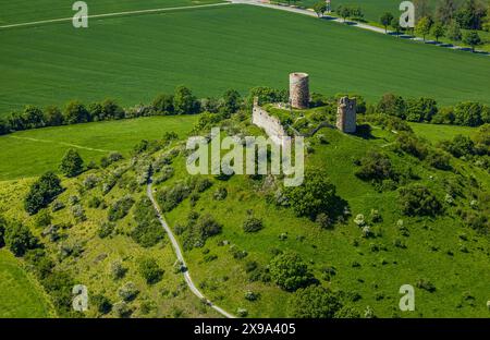 Luftbild, Burg Desenberg auf einem Vulkankegel, historische Sehenswürdigkeit, Ruine einer Höhenburg in der Warburger Börde, Besucher auf der Aussichtsplattform, Daseburg, Warburg, Ostwestfalen, Nordrhein-Westfalen, Deutschland ACHTUNGxMINDESTHONORARx60xEURO *** aus der Vogelperspektive, Schloss Desenberg auf einem Vulkankegel, historisches Anblick, Ruine einer Hügelburg in der Warburg Börde, Besucher auf der Aussichtsplattform, Daseburg, Warburg, Ostwestfalen, Nordrhein-Westfalen, Deutschland ACHTUNGxMINDESTHONORARx60xEURO Stockfoto