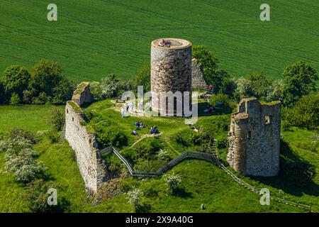 Luftbild, Burg Desenberg auf einem Vulkankegel, historische Sehenswürdigkeit, Ruine einer Höhenburg in der Warburger Börde, Besucher auf der Aussichtsplattform, Daseburg, Warburg, Ostwestfalen, Nordrhein-Westfalen, Deutschland ACHTUNGxMINDESTHONORARx60xEURO *** aus der Vogelperspektive, Schloss Desenberg auf einem Vulkankegel, historisches Anblick, Ruine einer Hügelburg in der Warburg Börde, Besucher auf der Aussichtsplattform, Daseburg, Warburg, Ostwestfalen, Nordrhein-Westfalen, Deutschland ACHTUNGxMINDESTHONORARx60xEURO Stockfoto