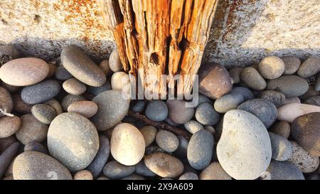 Südkaliforniens Küstenszenen mit Wellen und Stränden, Sonnenuntergängen und Silhouetten, Gezeitenbecken, Surfern, Palmen und abstrakten Bildern. Stockfoto