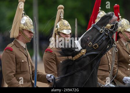 Horse Guards Parade, London, Großbritannien. 30. Mai 2024. Der Brigade Major’s Review of the Trooping of the Colour for the King’s Birthday Parade findet in Horse Guards statt. Diese „Khaki-Probe“ ist die letzte Inspektion der Truppen und Pferde, die am 15. Juni die offizielle Geburtstagsparade des Königs überbringen werden, und ist die erste Gelegenheit, die Parade in ihrer Gesamtheit zu sehen. Der Chefinspektor des Tages ist der Mann, der das diesjährige Spektakel entworfen hat, der Brigade-Major der Haushaltsabteilung, Oberstleutnant James Shaw. Quelle: Malcolm Park/Alamy Live News Stockfoto