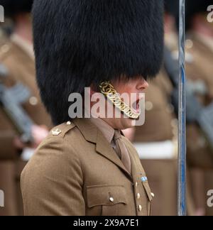 Horse Guards Parade, London, Großbritannien. 30. Mai 2024. Der Brigade Major’s Review of the Trooping of the Colour for the King’s Birthday Parade findet in Horse Guards statt. Diese „Khaki-Probe“ ist die letzte Inspektion der Truppen und Pferde, die am 15. Juni die offizielle Geburtstagsparade des Königs überbringen werden, und ist die erste Gelegenheit, die Parade in ihrer Gesamtheit zu sehen. Der Chefinspektor des Tages ist der Mann, der das diesjährige Spektakel entworfen hat, der Brigade-Major der Haushaltsabteilung, Oberstleutnant James Shaw. Quelle: Malcolm Park/Alamy Live News Stockfoto