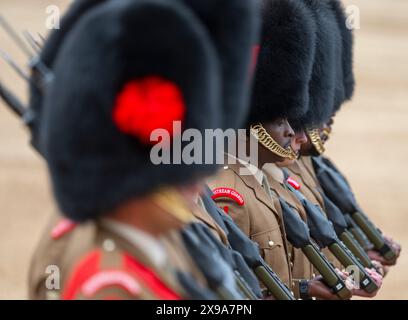 Horse Guards Parade, London, Großbritannien. 30. Mai 2024. Der Brigade Major’s Review of the Trooping of the Colour for the King’s Birthday Parade findet in Horse Guards statt. Diese „Khaki-Probe“ ist die letzte Inspektion der Truppen und Pferde, die am 15. Juni die offizielle Geburtstagsparade des Königs überbringen werden, und ist die erste Gelegenheit, die Parade in ihrer Gesamtheit zu sehen. Der Chefinspektor des Tages ist der Mann, der das diesjährige Spektakel entworfen hat, der Brigade-Major der Haushaltsabteilung, Oberstleutnant James Shaw. Quelle: Malcolm Park/Alamy Live News Stockfoto