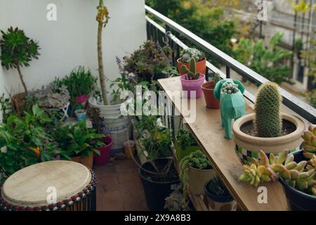 Ein Balkon mit einer Vielzahl von Topfpflanzen, einschließlich einer grünen Elefantenpflanze, einem Kakteen und einem kleinen Baum Stockfoto