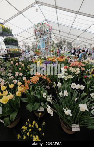 RHS Blumenausstellung bei der jährlichen Chelsea Flower Show in London Stockfoto