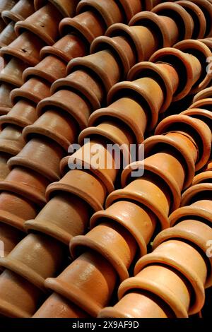 Teilweiser Blick auf die verschiedenen Gärten im tropischen Botanischen Garten Nong Nooch, Pattaya, Thailand Stockfoto