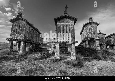 Kornspeicher, Espigueiros, ikonische Gebäude in Lindoso, einem Dorf im Nationalpark Peneda Geres im Norden Portugals. Schwarzweiß konvertiert. Stockfoto