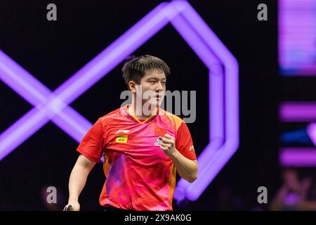 Chongqing. 30. Mai 2024. Fan Zhendong aus China feiert das Scoring während des Spiels der Männer im Einzel-Spiel 32 gegen Lee Sang Su aus Südkorea bei den WTT Champions Chongqing 2024 im Südwesten Chinas Chongqing am 30. Mai 2024. Quelle: Huang Wei/Xinhua/Alamy Live News Stockfoto