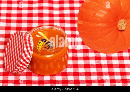 Hornet oder Biene knabbern an einem offenen Glas hausgemachter Kürbismarmelade. Stockfoto