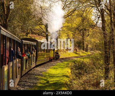 Passagiere, die mit der Schmalspurbahn Ravenglass und Eskdale reisen, genießen die Landschaft des Lake District in Cumbria, England Stockfoto