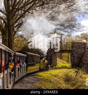 Passagiere, die mit der Schmalspurbahn Ravenglass und Eskdale reisen, genießen die Landschaft des Lake District in Cumbria, England Stockfoto