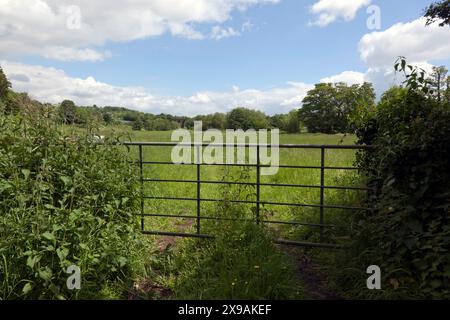 Blick von der Lullingstone Lane über Farmland mit Blick auf das denkmalgeschützte Eynsford Viaduct, Kent Stockfoto