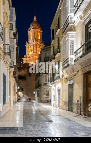 Malerischer Nachtanblick auf eine Straße in der Altstadt mit dem Glockenturm der Kathedrale im Hintergrund, Malaga, Andalusien, Spanien Stockfoto