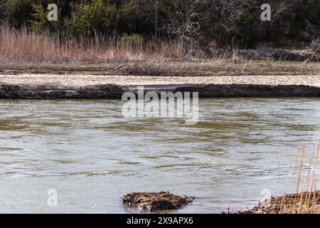 Der Platte River in Nebraska fließt hinunter. Hochwertige Fotos Stockfoto