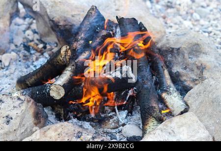 Birkenholz brennt in einem Lagerfeuer zwischen den Steinen Stockfoto