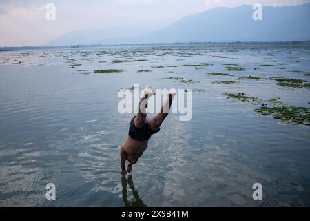 Srinagar, Jammu Und Kaschmir, Indien. 30. Mai 2024. Ein Junge springt in den Dal Lake, um sich an einem heißen Sommertag in Srinagar von der Hitze zu erholen. (Credit Image: © Adil Abass/ZUMA Press Wire) NUR REDAKTIONELLE VERWENDUNG! Nicht für kommerzielle ZWECKE! Stockfoto