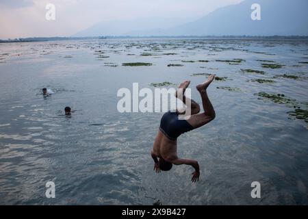 Srinagar, Jammu Und Kaschmir, Indien. 30. Mai 2024. Junge Jungs nehmen ein Bad im Dal Lake, um sich von der Hitze an einem heißen Sommertag in Srinagar zu erholen. (Credit Image: © Adil Abass/ZUMA Press Wire) NUR REDAKTIONELLE VERWENDUNG! Nicht für kommerzielle ZWECKE! Stockfoto