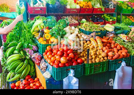 Frisches Gemüse und Gemüse auf einem Marktplatz in Kolumbien hält die Hand einer Frau einen Strauß frischen Koriander Stockfoto