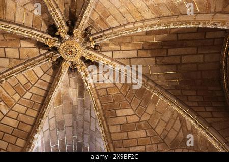 Dramatische Aussicht auf das Innere der Kathedrale von Avila, Spanien Stockfoto