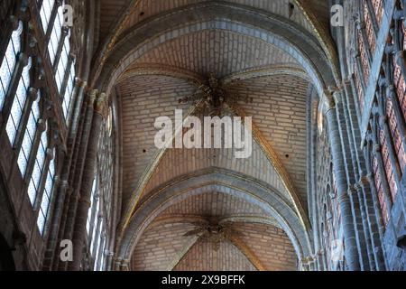 Dramatische Aussicht auf das Innere der Kathedrale von Avila, Spanien Stockfoto