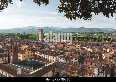 Die Dächer und Türme der historischen mittelalterlichen Stadt Lucca in der Toskana, Italien an einem sonnigen Tag, vom Guinigi-Turm über den Straßen. Stockfoto