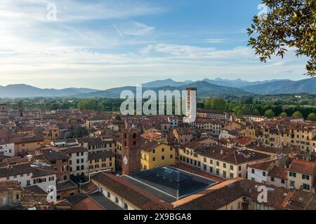 Die Dächer und Türme der historischen mittelalterlichen Stadt Lucca in der Toskana, Italien an einem sonnigen Tag, vom Guinigi-Turm über den Straßen. Stockfoto