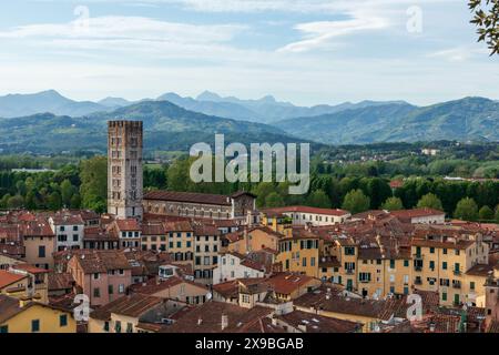 Die Dächer und Türme der historischen mittelalterlichen Stadt Lucca in der Toskana, Italien an einem sonnigen Tag, vom Guinigi-Turm über den Straßen. Stockfoto