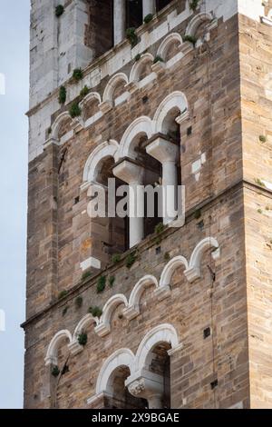 Ein Blick aus nächster Nähe auf den wunderschönen Glockenturm des Duomo di San Martino in der historischen mittelalterlichen Stadt Lucca in der Toskana. Stockfoto