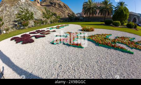 Fotografie eines kleinen Gartens in Oman, Maskat am sonnigen Frühlingstag Stockfoto