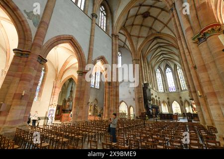 Innenraum, Hauptschiff, Martinsmünster, Collégiale Saint-Martin, Colmar, Elsass, Frankreich Stockfoto