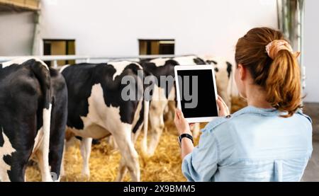 Eine Viehzüchterin arbeitet an einem digitalen Tablet auf einer Viehzucht. Tablette mit leerem Bildschirm in den Händen von Farmerinnen. Stockfoto